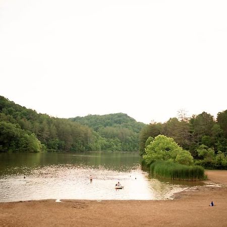 Apartament Tiny House Strouds Run Lake Athens Zewnętrze zdjęcie